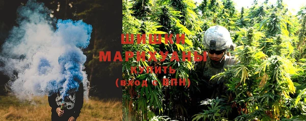 крисы Лагань