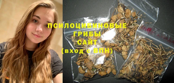 сатива Ладушкин