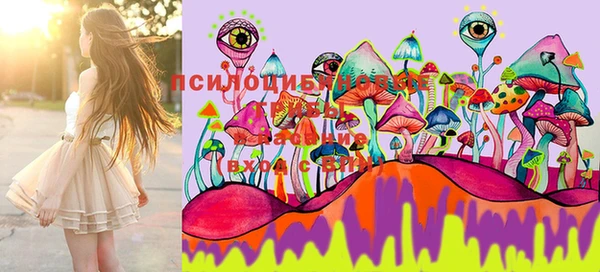 сатива Ладушкин